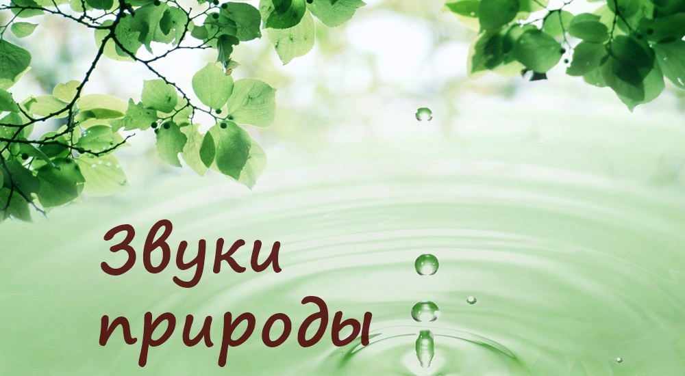 Слушаем звуки природы